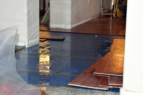 Professional Sewage Cleanup technician working in Erie, ND